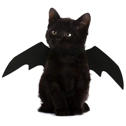 Creative Cute Pet Clothes Black Bat Wings Carrier Costume Cosplay Cat and Dog Party Pet Supplies Cosplay